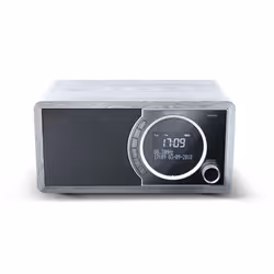 Sharp DR-450 Personnel Numérique Gris, Acier inoxydable