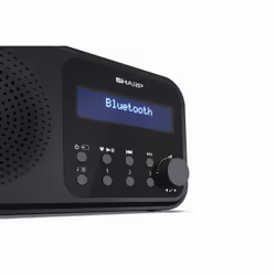 Sharp DR-P420 Portable Numérique Noir - Vue supplémentaire 4