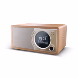 Sharp DR-450 Personnel Numérique Marron, Acier inoxydable