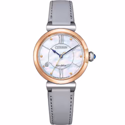 Montre Citizen  Pour Femmes en Gris - EM1074-15D