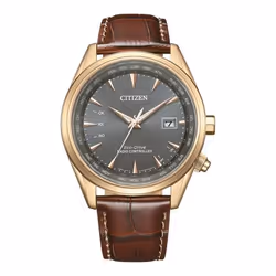Montre Citizen Pour Hommes en Marron - CB0273-11H