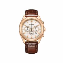 Montre Citizen  Pour Hommes en Marron - CA4593-15A