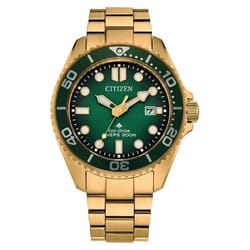 Montre bracelet Citizen Promaster Dive BN0262-59W