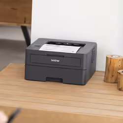 Brother HL-L2400DW 1200 x 1200 DPI A4 Wifi - Vue supplémentaire 5