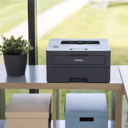Brother HL-L2445DW - Imprimante laser monochrome A4 compacte et réseau Ethernet. Eligible au forfait EcoPro.