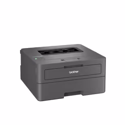 Brother HL-L2445DW - Imprimante laser monochrome A4 compacte et réseau Ethernet. Eligible au forfait EcoPro.