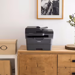 Brother MFC-L2860DWE - Imprimante multifonction laser 4-en-1 monochrome A4 compacte et réseau Ethernet - 6 mois d'abonnement  ...