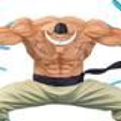 EDWARD NEWGATE DXF SPECIAL One Piece