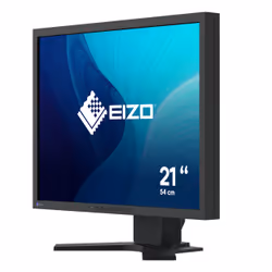 EIZO FlexScan S2134 écran plat de PC 21.3" UXGA LCD Noir