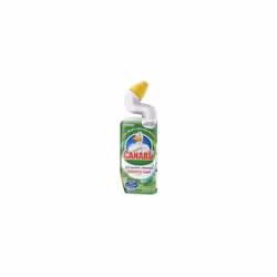 GENERIQUE - Gel action intense fresh 750ml - CANARD WC