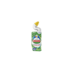 GENERIQUE - Gel action intense fresh 750ml - CANARD WC