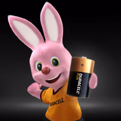 Duracell Plus D 2 pcs