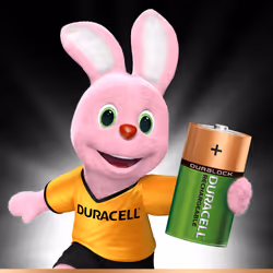 Duracell 5000394055995 pile domestique Batterie rechargeable D Hybrides nickel-métal (NiMH)