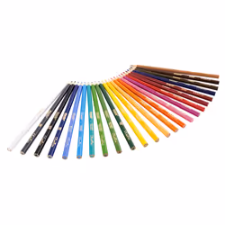 Crayola 24 Crayons de couleur