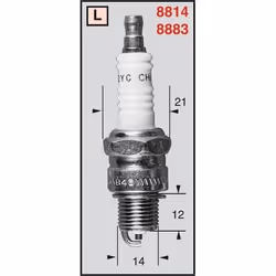 PRISE DE spark CHAMPION RL82YC/OE064
