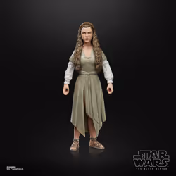Star Wars The Black Series F43525X0 toy figure