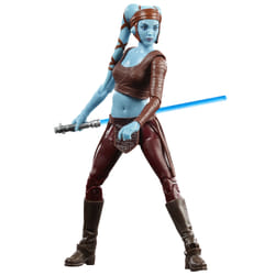 Star Wars The Black Series F43555X0 toy figure
