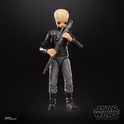 Star Wars The Black Series F50405X0 toy figure
