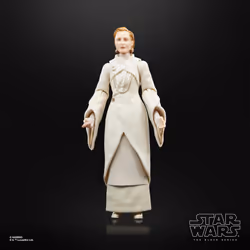 Star Wars The Black Series F55305X0 toy figure - Vue supplémentaire 10
