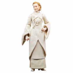Star Wars The Black Series F55305X0 toy figure