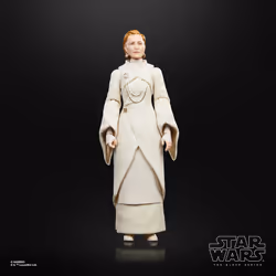Star Wars The Black Series F55305X0 toy figure - Vue supplémentaire 5