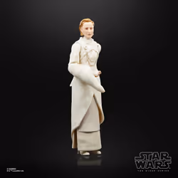 Star Wars The Black Series F55305X0 toy figure - Vue supplémentaire 6