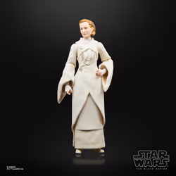 Star Wars The Black Series F55305X0 toy figure - Vue supplémentaire 9