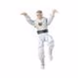 Figurine - Hasbro - Power Rangers X Cobra Kai - Morphed Daniel LaRusso - 15 cm - Collection Lightning