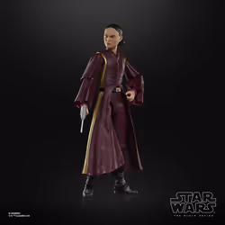 Star Wars The Black Series Padmé Amidala - Vue supplémentaire 12