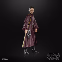 Star Wars The Black Series Padmé Amidala - Vue supplémentaire 15