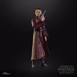 Star Wars The Black Series Padmé Amidala - Vue supplémentaire 9