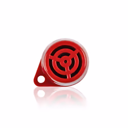Ring RMB24