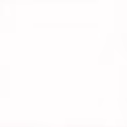 Papier Peint Peaux DAutruche Blanc