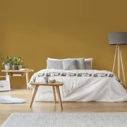 Décorez votre intérieur avec ce Papier Peint Intissé Velvet Uni de qualité intissé, un uni de couleur ocre / moutarde. Caract ...