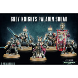 Games Workshop Grey Knights Paladins/Terminators