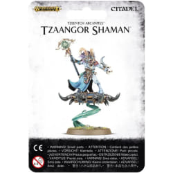 Games Workshop Tzeentch Arcanites Tzaangor Shaman