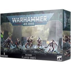 Games Workshop 49-42 collectible figure