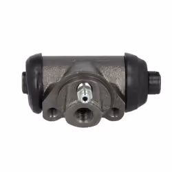 Cylindre de roue DELPHI LW70091