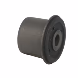 Silent bloc de suspension DELPHI TD711W