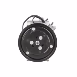 Compresseur de climatisation DELPHI TSP0159172