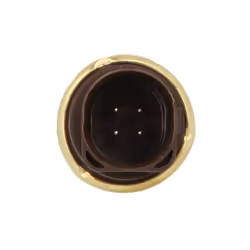 Sonde de température, liquide de refroidissement DELPHI TS10283