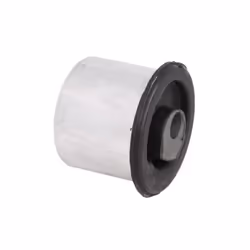 Silent bloc de suspension DELPHI TD844W
