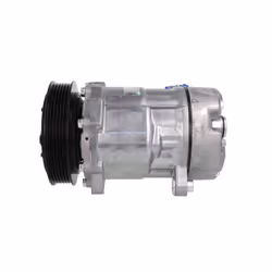 Compresseur de climatisation DELPHI TSP0159381