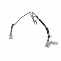 Flexible de frein DELPHI LH6925, droite