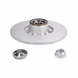 Disque de frein DELPHI BG9113RSC arrière, plein, 1 pièce - Vue supplémentaire 2