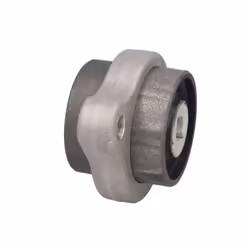 Silent bloc de suspension DELPHI TD1833W