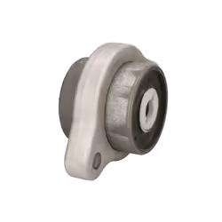 Silent bloc de suspension DELPHI TD1834W