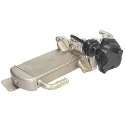 Vanne EGR DELPHI EG10576-12B1
