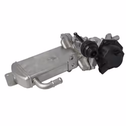 Vanne EGR DELPHI EG10584-12B1