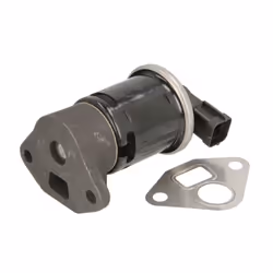 Vanne EGR DELPHI EG10445-12B1